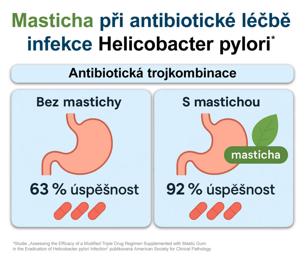Masticha výrazně zvyšuje účinnost antibiotické léčby helicobacter pylori