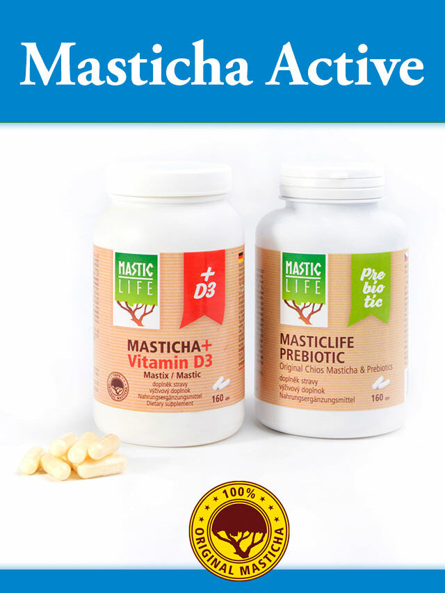 masticha active