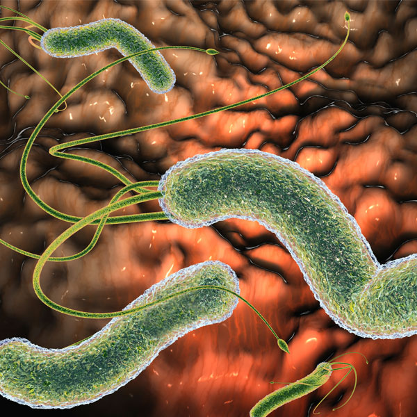 Přírodní léčba Helicobacter pylori: Co funguje?