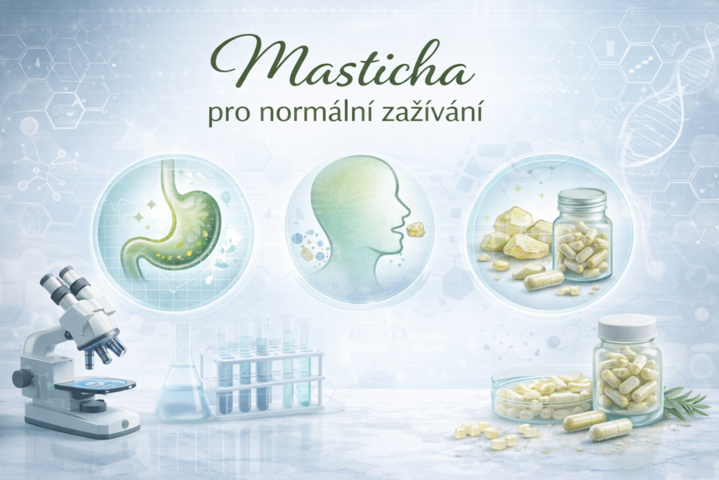 Masticha pro normální zažívání